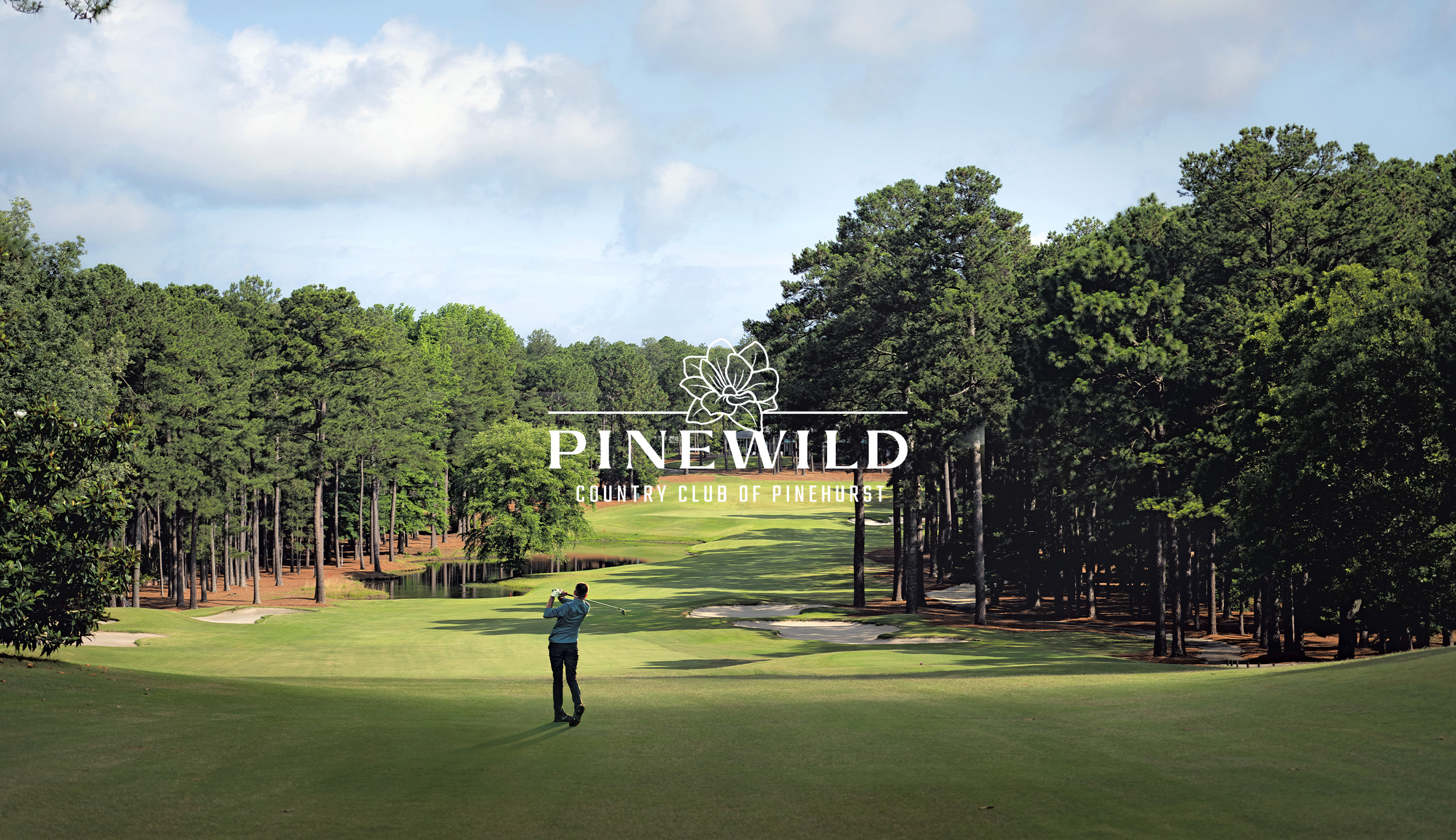 pinewild