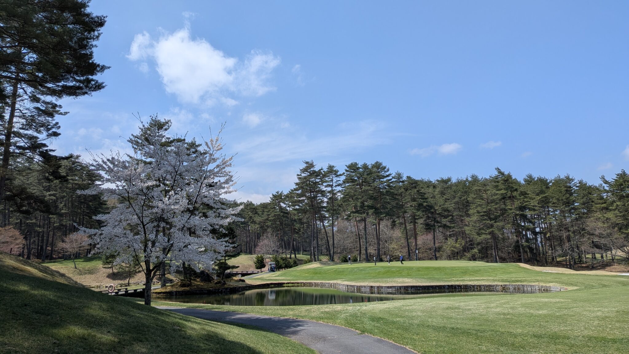 Royal Blue Golf Resortの公式サイトの画像(5/10)